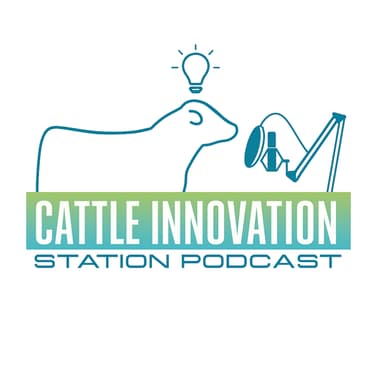Cattle Innovation Station | Boost Cattle Business Profitability